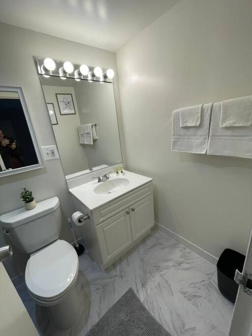 Charming Apartment At Crystal City With Amazing Amenities อาร์ลิงตัน ภายนอก รูปภาพ
